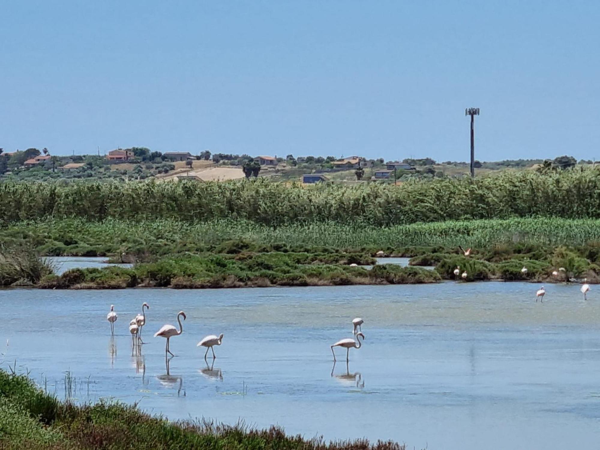 -Dimartino Home- Posizione Centrale 9 Min Da Marzamemi San Lorenzo Portopalo Di Capo Passero Pachino Luaran gambar